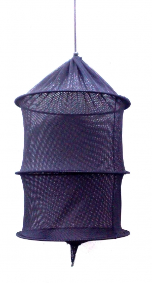 LIVE BAIT NET