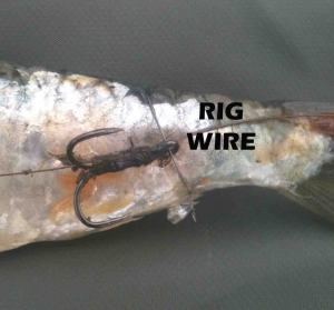 RIG WIRE