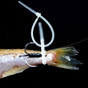 pike tackle